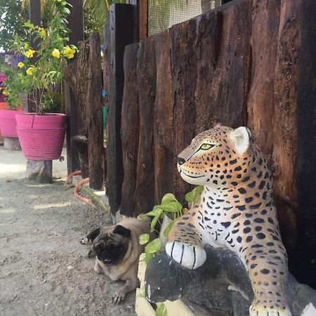 Hotel Hacienda La Catrina Isla Holbox Εξωτερικό φωτογραφία
