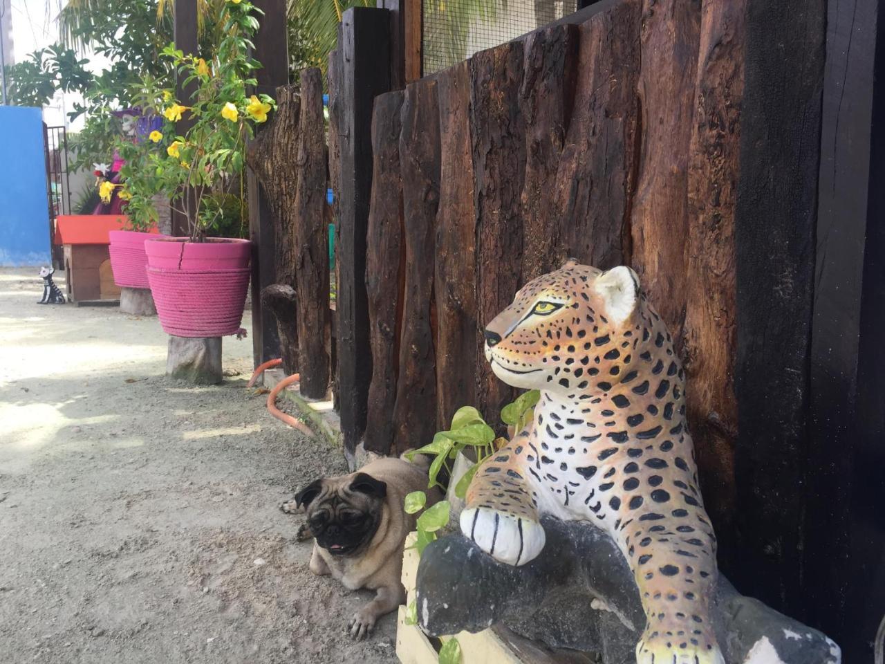Hotel Hacienda La Catrina Isla Holbox Εξωτερικό φωτογραφία